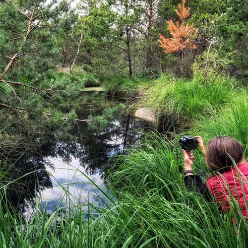 La forêt de Fontainebleau révèle ses secrets aux photographes
