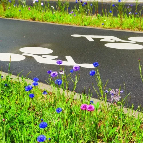 Presque 40 kilomètres de piste cyclable : derniers coups de pioche...