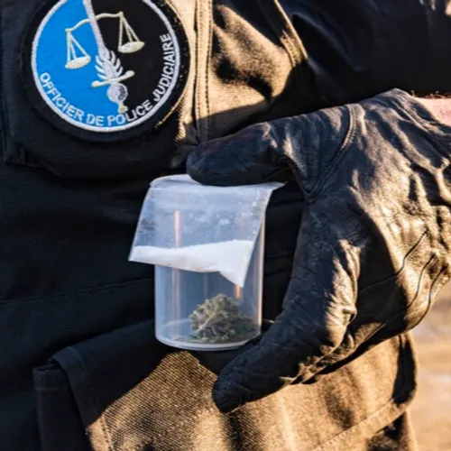 Un an de prison pour le revendeur de cannabis de Melun