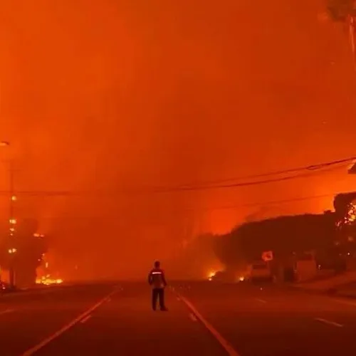 Feux de forêt : la France face à une situation hors norme