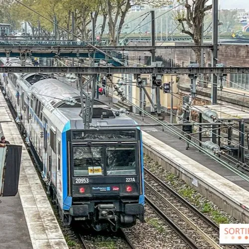 Encore une journée compliquée pour les usagers du RER D