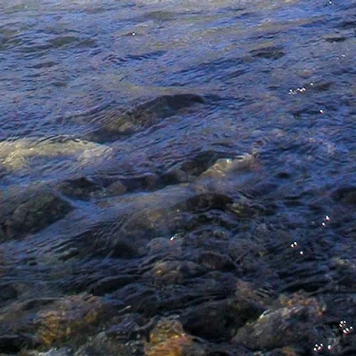 Face à l’assèchement des cours d’eau, la préfecture de...
