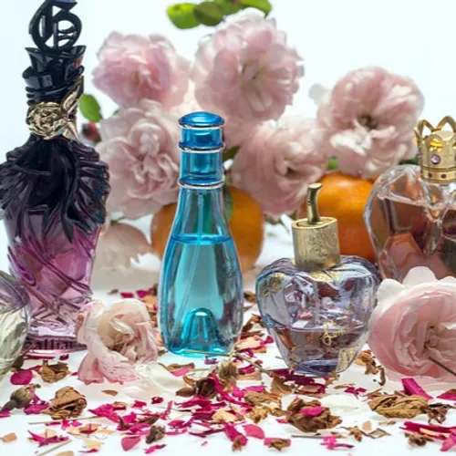 Chartres : une maison de la cosmétique va s'installer
