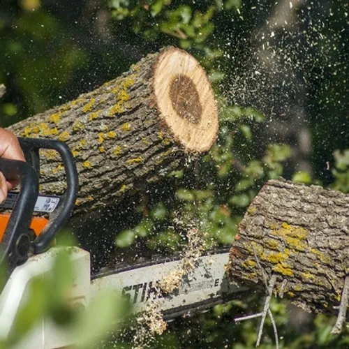 Dix-huit communes situées dans la forêt de Fontainebleau vont...