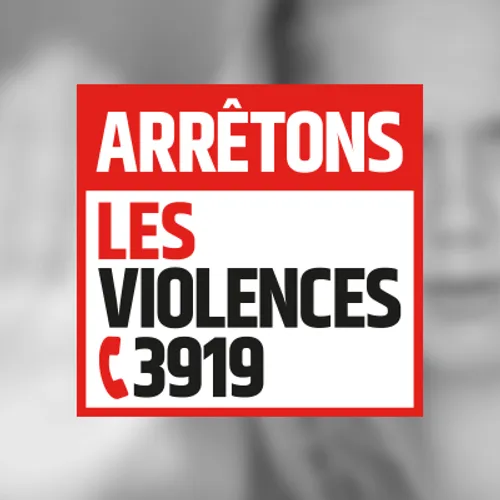 Violences faites aux femmes : les formations des forces de l’ordre...