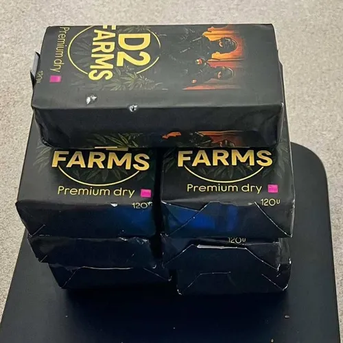 Plusieurs kilos de cannabis ont été découverts sur place