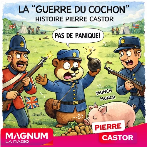 Comment un cochon a pu être à l'origine d'un conflit absurde ?