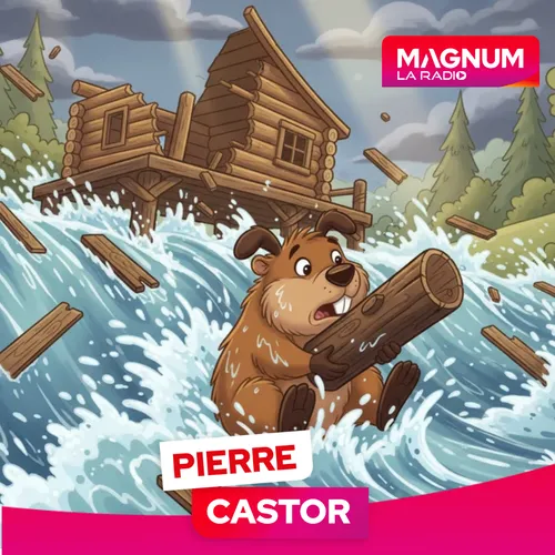 Pierre CASTOR 06.01.2025
