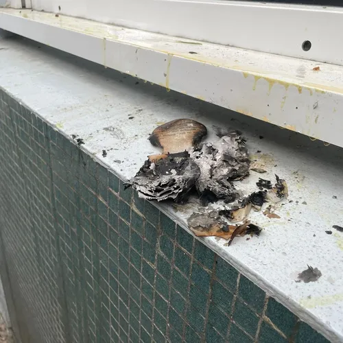 Un des quatre départs de feu 