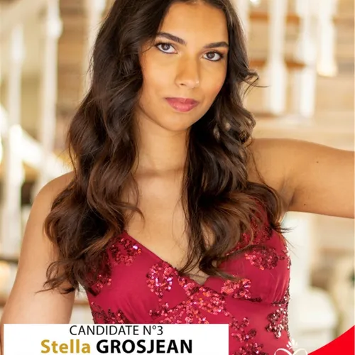 Candidate n°3 - Stella GROSJEAN
