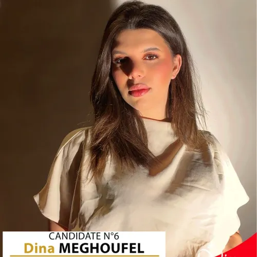 Candidate n°6 - Dina MEGHOUFEL