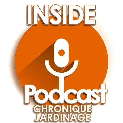 Outils : quels sont les indispensables à avoir pour débuter et...