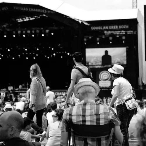 Vieilles Charrues 2014