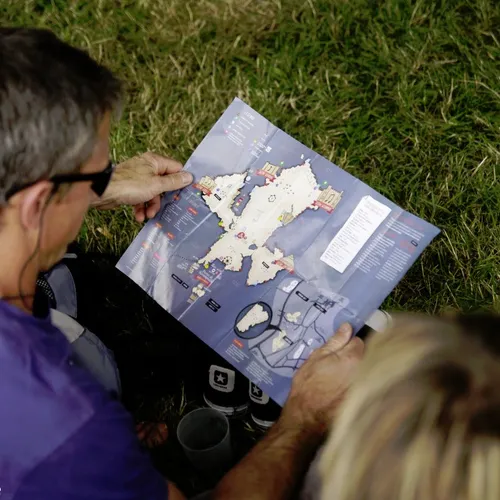 Vieilles Charrues 2014