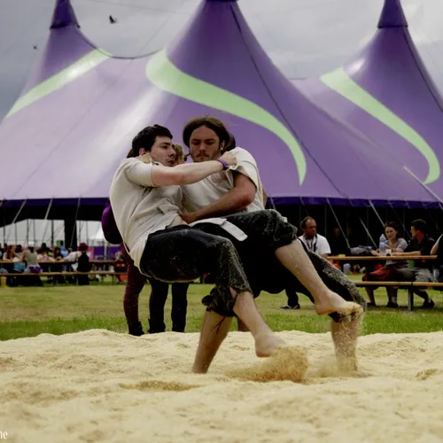 Vieilles Charrues 2014