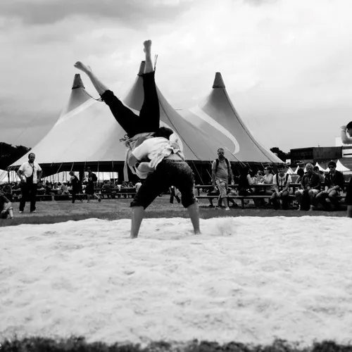 Vieilles Charrues 2014