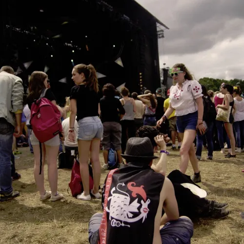 Vieilles Charrues 2014