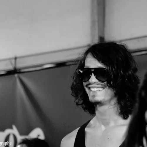 Vieilles Charrues 2014