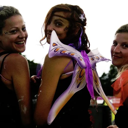 Vieilles Charrues 2014