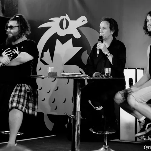 Vieilles Charrues 2014