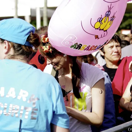 Vieilles Charrues 2014