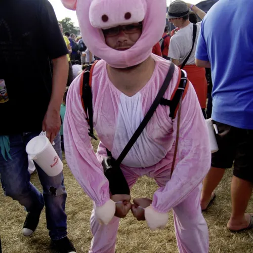 Vieilles Charrues 2014