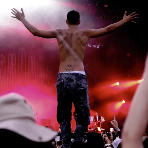 Vieilles Charrues 2014