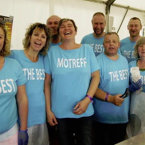 Vieilles Charrues 2014