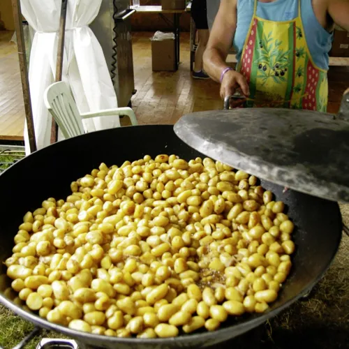 Vieilles Charrues 2014
