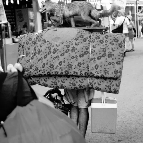 Vieilles Charrues 2014