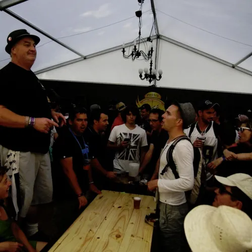 Vieilles Charrues 2014