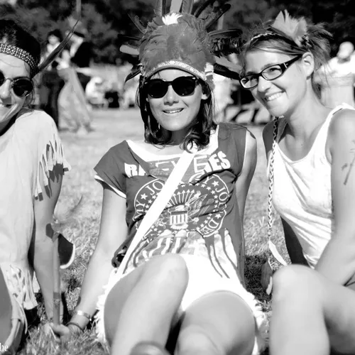 Vieilles Charrues 2014