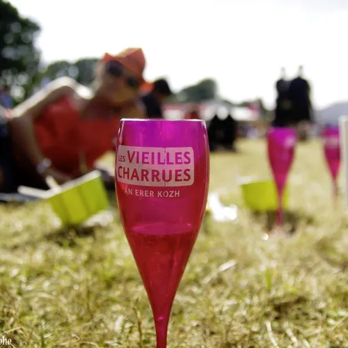 Vieilles Charrues 2014