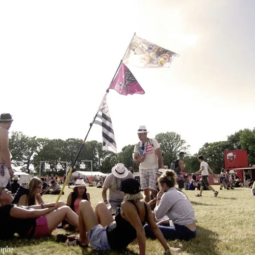 Vieilles Charrues 2014