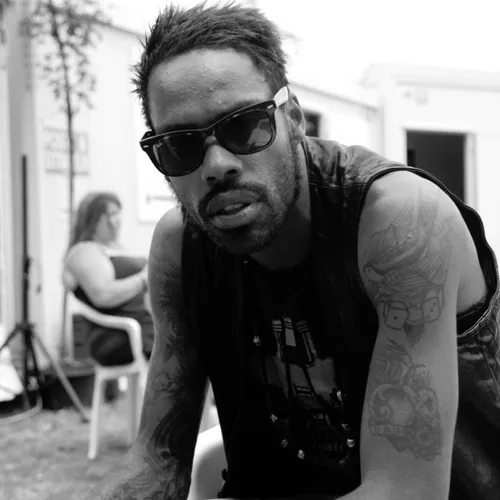 Vieilles Charrues 2014