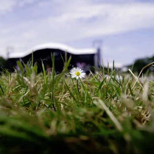 Vieilles Charrues 2014
