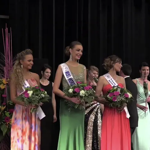Miss Morbihan 2015 (Résultats)