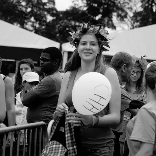Vieilles Charrues 2014