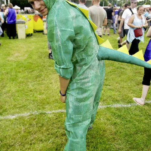 Vieilles Charrues 2014