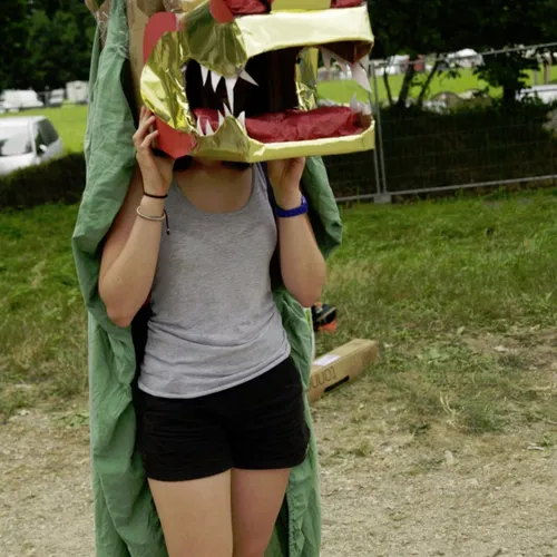 Vieilles Charrues 2014