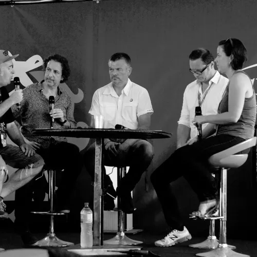 Vieilles Charrues 2014