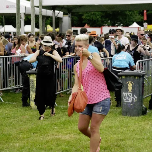 Vieilles Charrues 2014