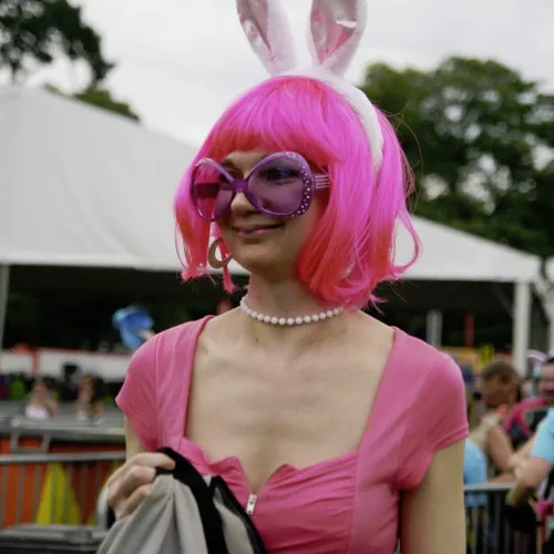 Vieilles Charrues 2014