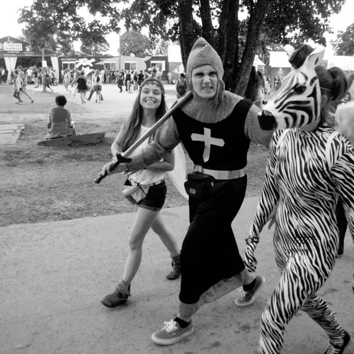Vieilles Charrues 2014