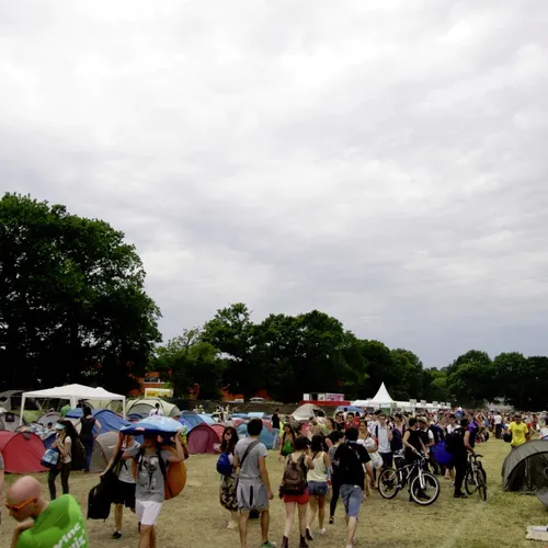 Vieilles Charrues 2014