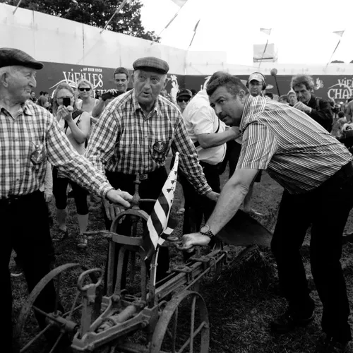 Vieilles Charrues 2014