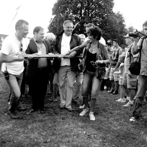 Vieilles Charrues 2014