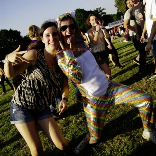 Vieilles Charrues 2014