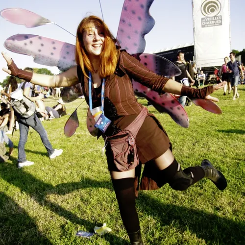 Vieilles Charrues 2014