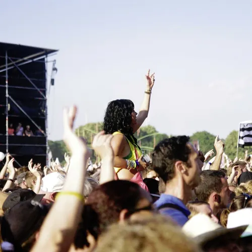 Vieilles Charrues 2014